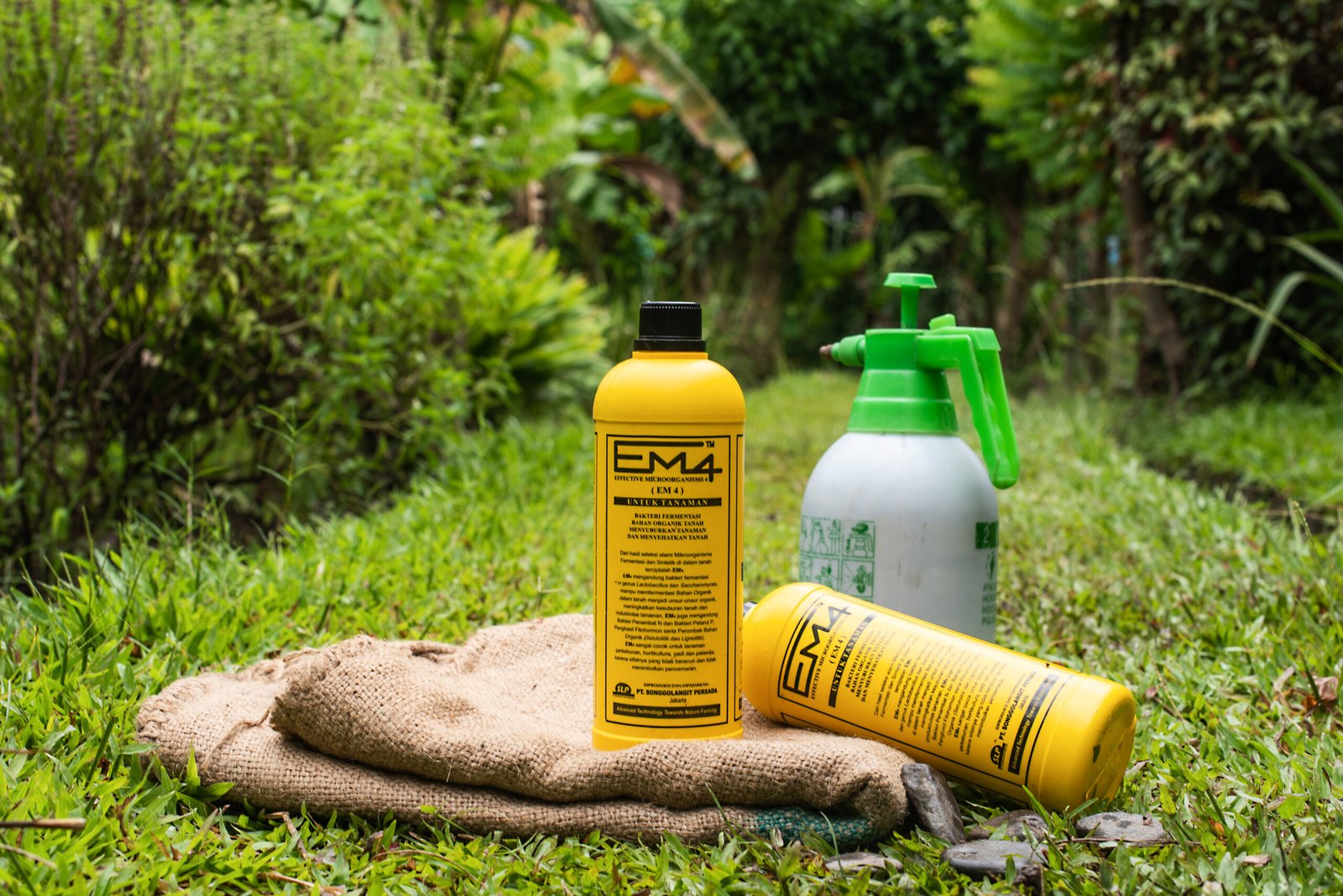 PT Songgo Langit Persada